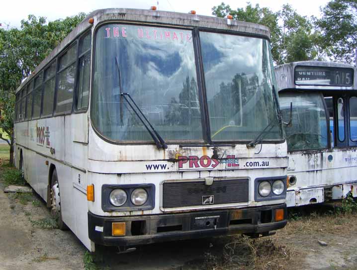 Whitsunday Transit PROS IL MAN